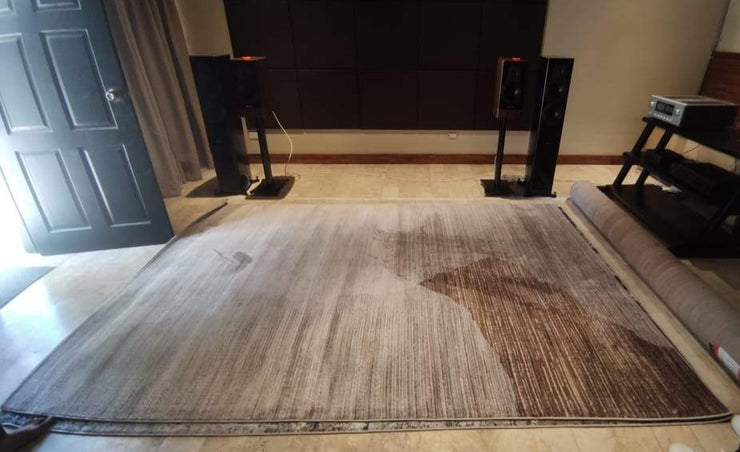 Sajorn Area Rug